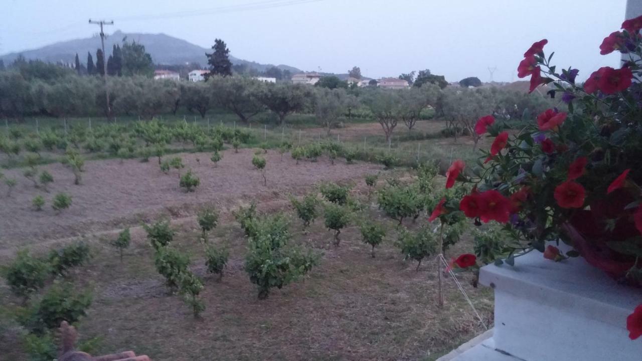 דירות Gaitani Aloisio'S Estate מראה חיצוני תמונה